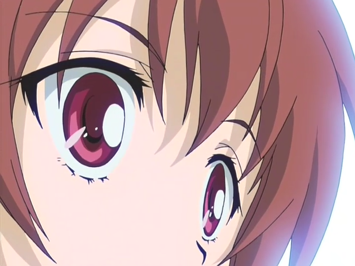 Strawberry Panic! (Anime Underground)